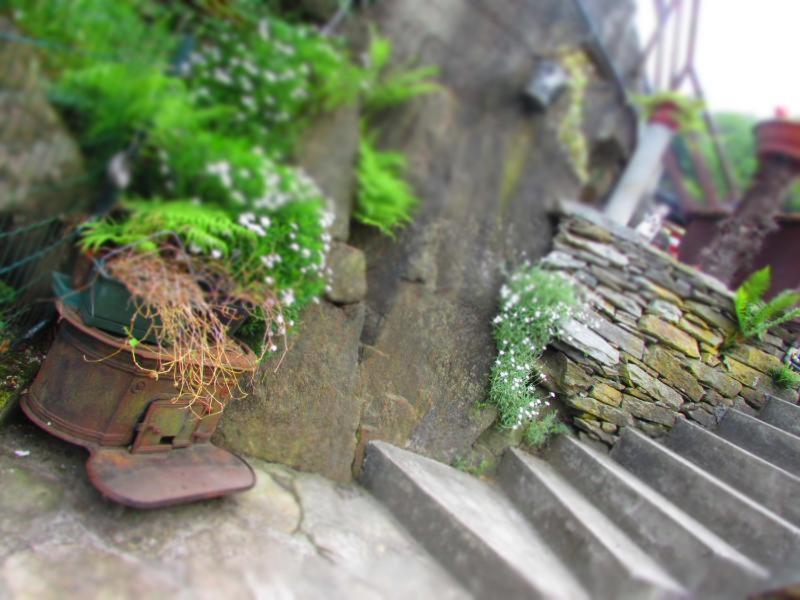 Casa Vacanza Pizzo Camino Calasca-Castiglione المظهر الخارجي الصورة